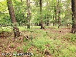 215 22A-51-EV71     Longfellow Cir