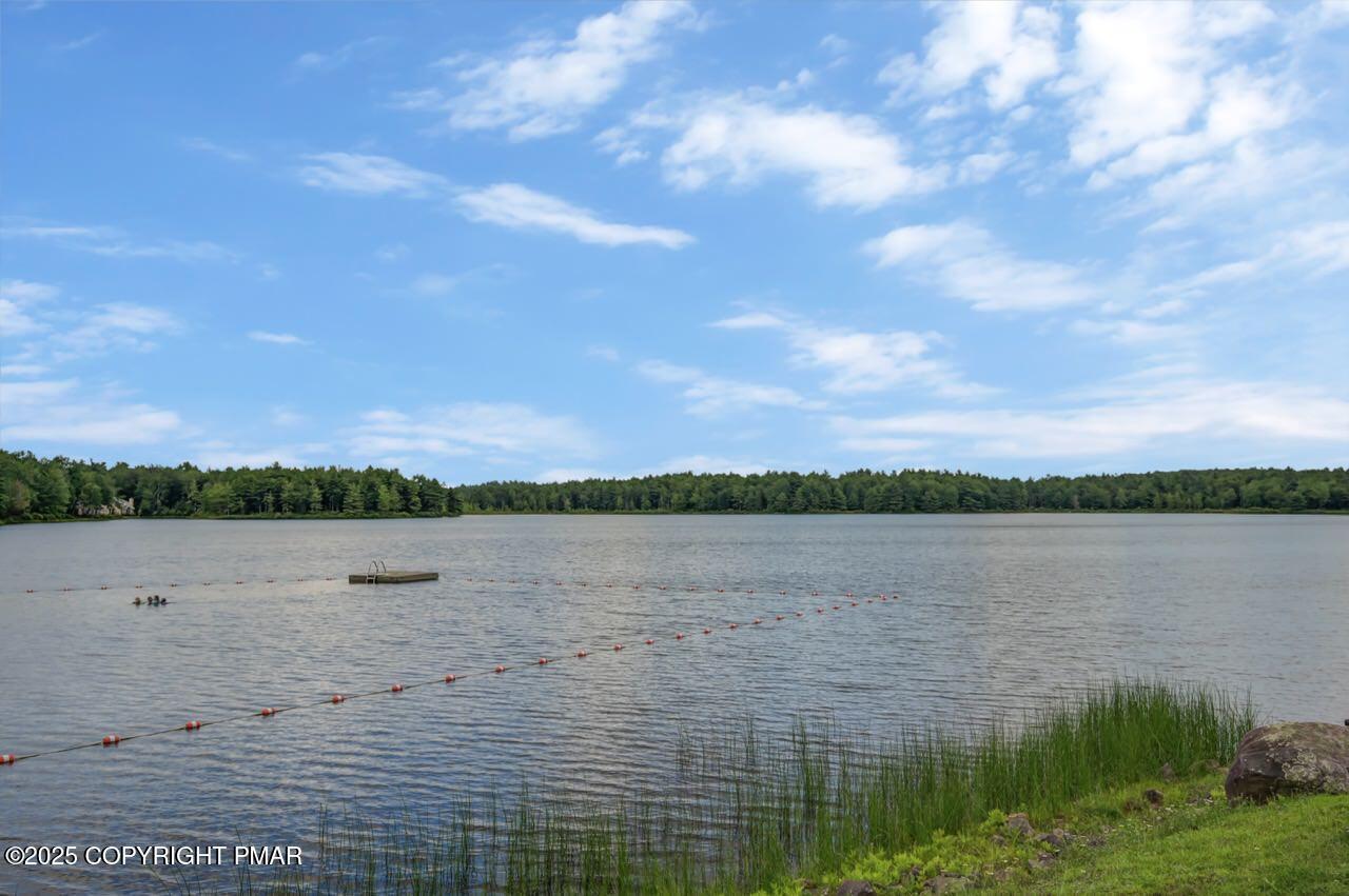 Image 4: 513 Rondaxe Ln 59 Large