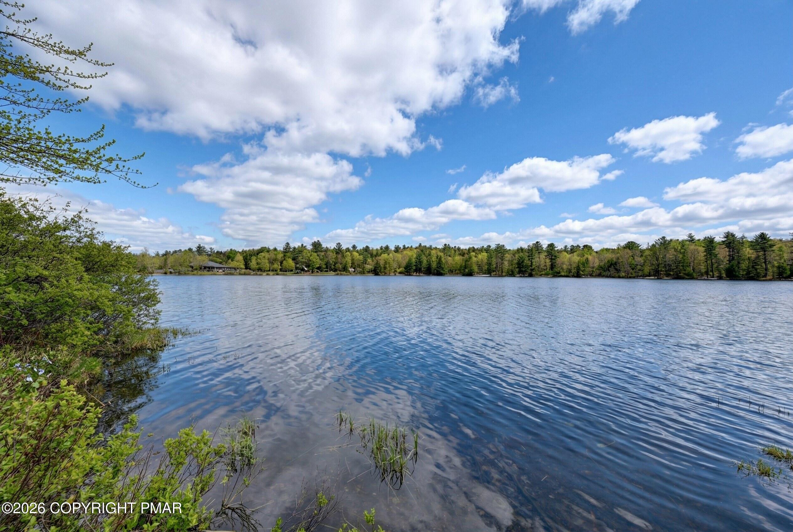 Image 1: Amazing View of Lake Naomi
