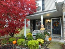 7231 Blushingwood Grv