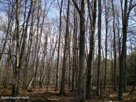 409 HEMLOCK DR