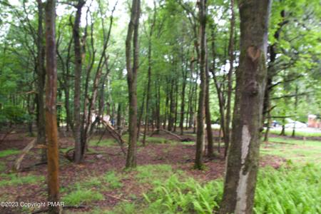 C1626 Hunt Trail & Young Circle