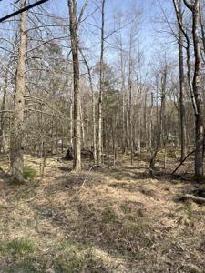 lot 814 White Pine Drive