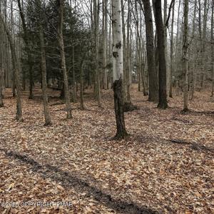 Timberlane Dr & Tamarack Trail