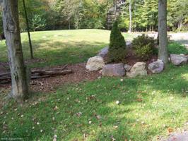 20 Deer RUN