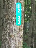 32&33 Canoe Brook Road