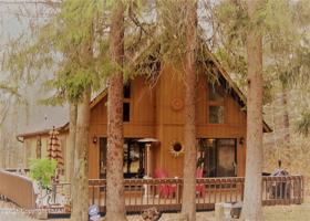 1145 Shasta Dr