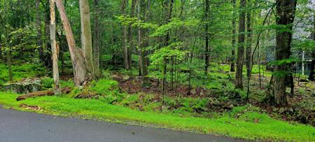 Lot 461 W Creek View Drive