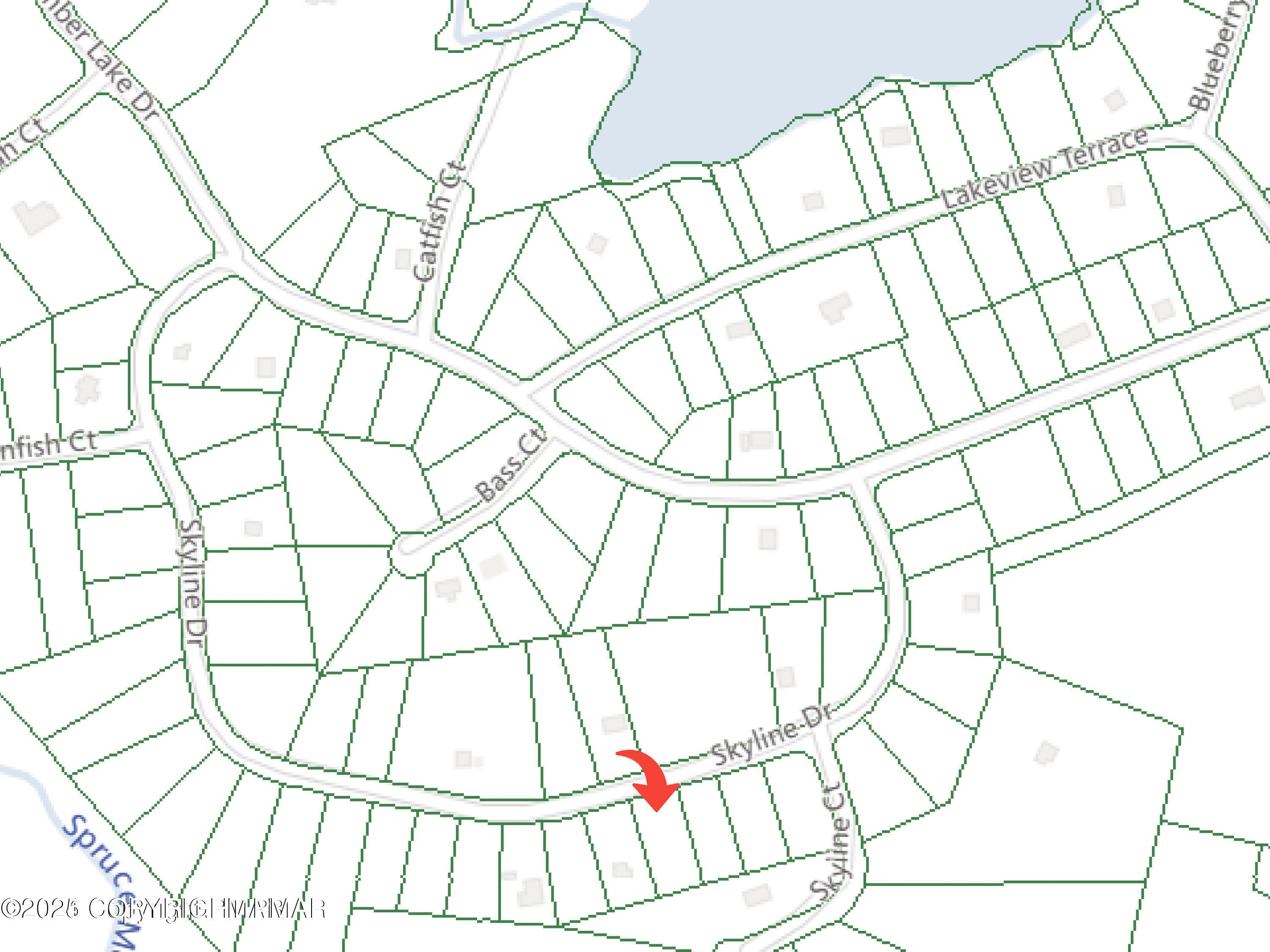 Image 3: 20240229132525591925000000-o