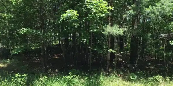Twin Lake Dr