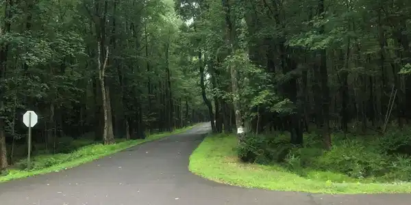 Dogwood Drive & Willow Dr