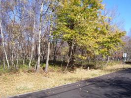 62 Buck Hill Rd