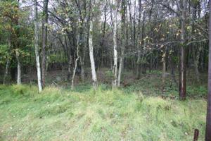 Hunter Ln