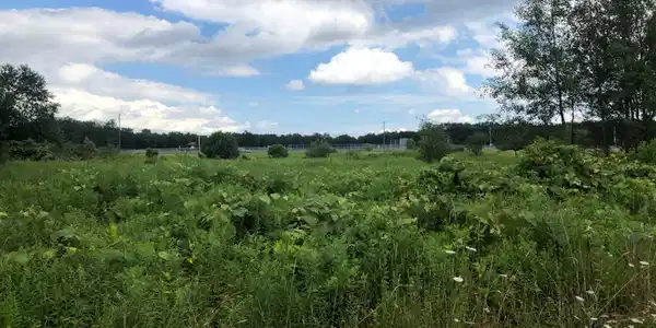 LOT 217 Bluejay Dr