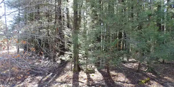 LOT 167 King Arthur Rd