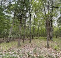 Moseywood Road
