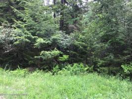 45 PINE CONE RD