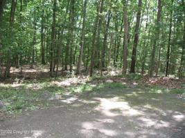 Lot 110 Spruce Ln (AKA Chinook Ln)