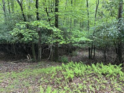 W14 Green Wood Dr
