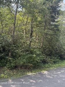 Long View Ln 36 Lane