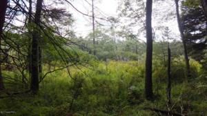 5871 Lower Deer Lake CT