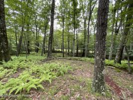 Lot 63 SKYLINE DR