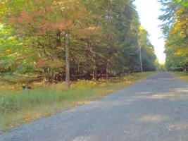 Pocono Road & Vineland Road