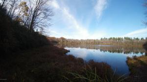 Lake Harmony Rd