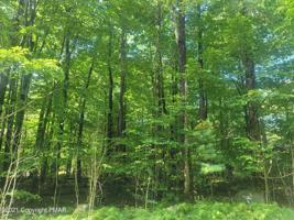 8 SWEET BRIAR RD 7