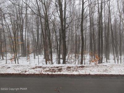 Maple Drive