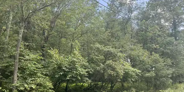224 & 225 Bluejay Drive