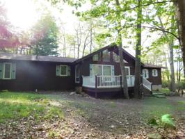 21 Mountain Ash