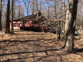 225 Barberry Ln