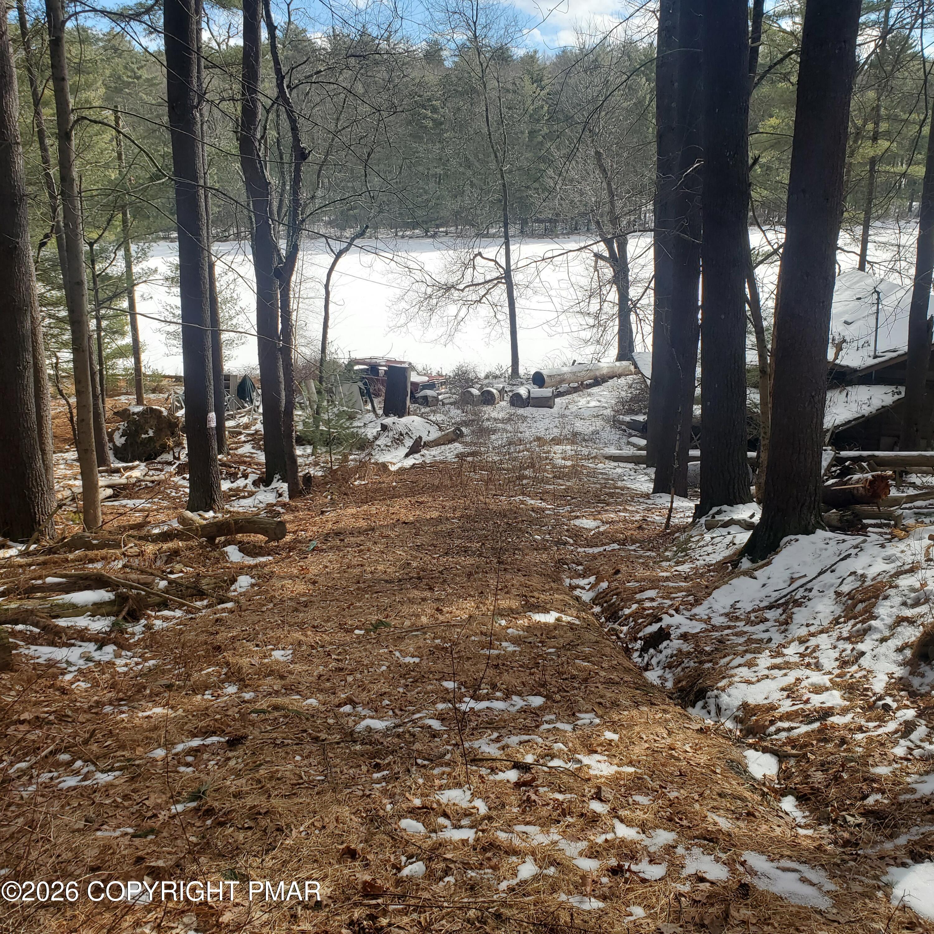 Image 3: 20250128_122829 (1)