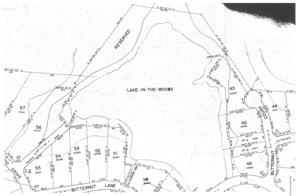 3 Acres Lakefront