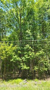 Lot 121 Gross Drive