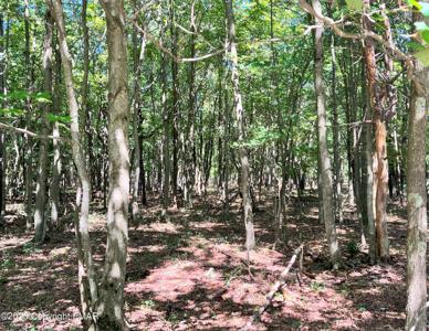 Lot EV1540 Caedman Drive