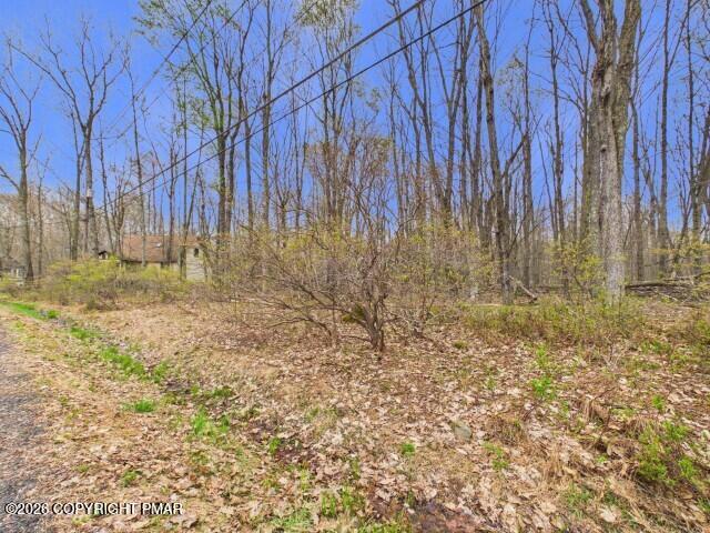 Image 4: 619 Berry Ln