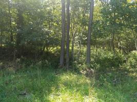 Lot 5448 SULLIVAN TRL