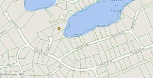 Lot #7 CATFISH CT