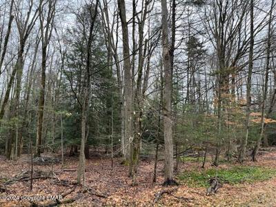 Lot 8 Foxglove Place