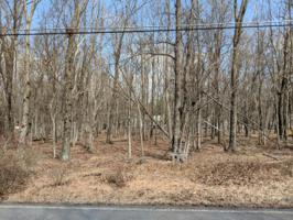 Lot 135 Hunter Lane