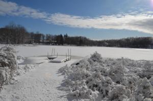 9 Birch Point Pt