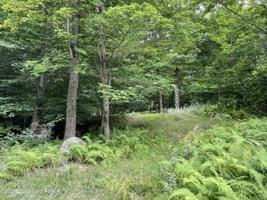Lot 10 Lookout Point Rd