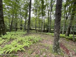 Lot 63 Skyline Dr