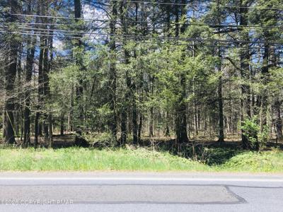 Lot 31 Route 423