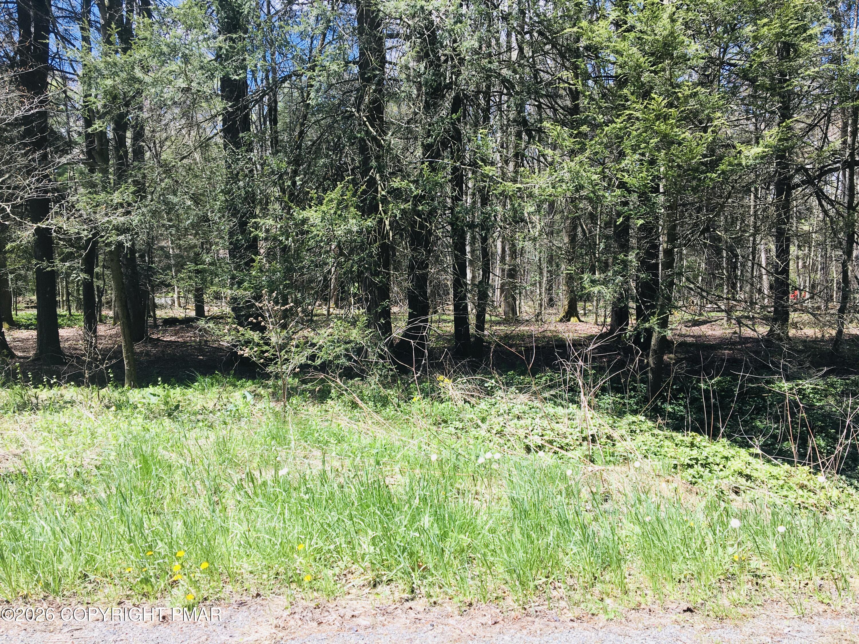 Image 2: IMG_2494