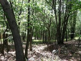 Lot 41/6 WOODLAND PL
