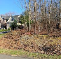 Lot 303 Washington Crossing