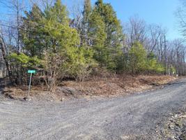 Cone Road & Lakeshore Dr. East